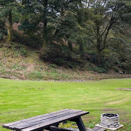 Bear Cottage, Tyn Y Cwm Eglwys-Fach 外观 照片